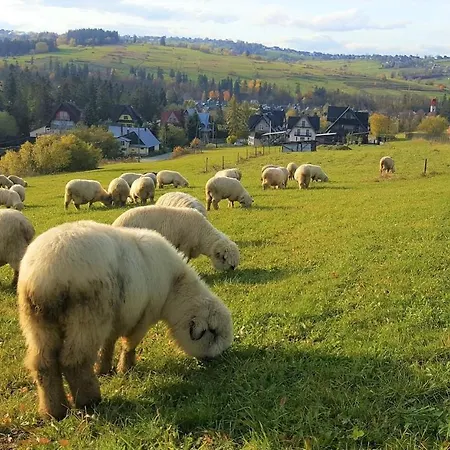 Jagodovo Habitación en casa particular *